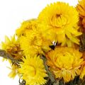 Floristik24 Šiaudų geltona džiovintų džiovintų gėlių dekoratyvinė kekė 75g