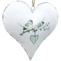 Floristik24 Dekoratyvinė kabyklos širdelė su paukščio motyvu, širdies puošmena Valentino dienai, metalinis pakabukas širdelės forma 4vnt