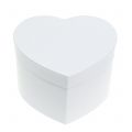 Floristik24 Širdies dėžutė gėlių dėžutė balta 14 / 16cm 2vnt