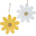 Floristik24 Medinės gėlės pakabinamos, pavasarinė puošmena, gėlės iš medžio geltonos ir baltos spalvos, vasarinės gėlės 8vnt