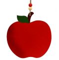 Floristik24 Krabų obuolys pakabinti 12,5cm raudonas 12vnt