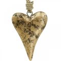 Floristik24 Medinės širdies aukso efektas, Valentino diena, vestuvių dekoracija 10 × 7cm