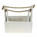 Floristik24 Augalų dėžutė įrankių dėžė su rankena medinė dėžutė balta 27 × 15 cm / 22 × 10,5 cm