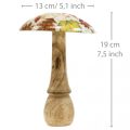 Mediniai grybų deko rudens lapai balti, spalvinga rudens puošmena Ø13cm H19cm | Floristik24.lt