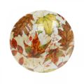 Floristik24 Medinė grybų puošmena rudeniniai lapai balta, spalvinga grybų stalo puošmena Ø10cm H15cm