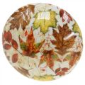 Floristik24 Mediniai grybų deko rudens lapai balti, spalvinga rudens puošmena Ø13cm H19cm
