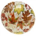 Mediniai grybų deko rudens lapai balti, spalvinga rudens puošmena Ø13cm H19cm | Floristik24.lt