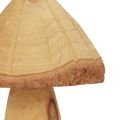 Floristik24 Medinių grybų dekoravimas grybų medžio apdaila natūrali stalo puošmena rudens Ø11cm H28cm