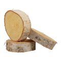 Floristik24 Mediniai diskai dekoratyvinė beržo medienos natūrali žievė Ø7-9cm 20vnt