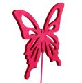 Floristik24 Medinis drugelis su rožiniu užpakaliuku. 8cm 18vnt