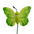 Floristik24 Mediniai drugeliai ant pagaliuko 3 spalvų asorti 8cm 24vnt