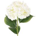 Floristik24 Dirbtinė hortenzija, ilgakotė, dirbtinė gėlė, 60 cm