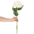 Dirbtinė hortenzija, ilgakotė, dirbtinė gėlė, 60 cm | Floristik24.lt