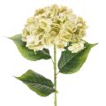 Floristik24 Dirbtinė hortenzija su ilgu stiebu ir lapais, 60 cm