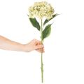Dirbtinė hortenzija su ilgu stiebu ir lapais, 60 cm | Floristik24.lt