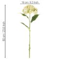 Dirbtinė hortenzija su ilgu stiebu ir lapais, 60 cm | Floristik24.lt
