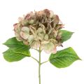 Floristik24 Dirbtinė hortenzija su koteliu, 46 cm