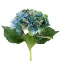 Floristik24 Dirbtinė hortenzija, melsvai žalia, dekoratyvinis vienastiebis, 53 cm