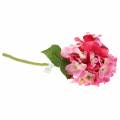 Floristik24 Dirbtinė gėlė hortenzija rožinė 36cm