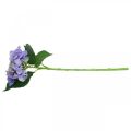 Dekoratyvinė hortenzija, šilkinė gėlė, dirbtinis augalas violetinė L44cm