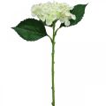 Hortenzija, šilkinė gėlė, dirbtinė gėlė stalo dekoravimui balta, žalia L44cm