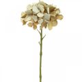 Hortenzija dirbtinė gėlė ruda, balta rudens puošmena šilkinė gėlė H32cm