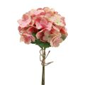 Floristik24 Hortenzijos dirbtinės panicle hortenzijos rožinė lašiša 35cm 3vnt