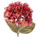 Floristik24 Dirbtinės hortenzijos žydinti šakelė, dideli žiedai, 74 cm