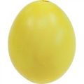 Floristik24 Velykiniai kiaušiniai Geltonai išpūsti kiaušiniai Vištienos kiaušinis 5,5 cm 10 vnt
