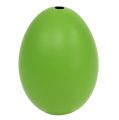 Floristik24 Vištienos kiaušiniai 5,5cm - 7cm Žali 10vnt