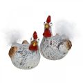 Floristik24 Velykų vištos Funny Chicken Chickens Deco keramika 4vnt
