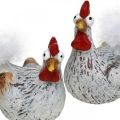Floristik24 Velykų vištos Funny Chicken Chickens Deco keramika 4vnt