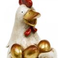 Floristik24 Velykinė vištiena, dekoratyvinė višta, vištiena su auksiniais kiaušiniais, Velykinė figūrėlė H24cm