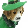 Floristik24 Biglis su kepure Šv. Patriko dienos šuo su kostiumu Sodo dekoro skalikas 24,5 cm