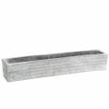 Floristik24 Augalų dėžė betonas šviesiai pilkas 40x8cm H6,7cm