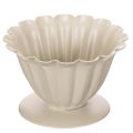 Floristik24 Dubuo, taurė, gėlės taurelė, kreminės spalvos dekoracija, 9 cm