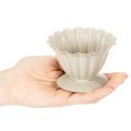 Dubuo, taurė, gėlės taurelė, kreminės spalvos dekoracija, 9 cm | Floristik24.lt