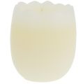 Floristik24 Žvakė kiaušinio geltonoje 5,5cm 3vnt