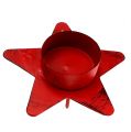 Floristik24 Žvaigždės formos žvakidė arbanei 10x7cm raudona