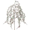 Floristik24 