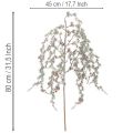  | Floristik24.lt