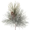 Floristik24 Dirbtinė pušies šaka su kankorėžiais, žiemiška, 40 cm