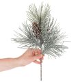 Dirbtinė pušies šaka su kankorėžiais, žiemiška, 40 cm | Floristik24.lt