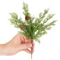 Dirbtinė pušies šaka su kankorėžiais, 28 cm, 6 vnt. | Floristik24.lt