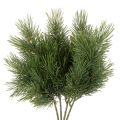 Floristik24 Dirbtinė pušies šaka žiemos dekoracijoms, 40 cm, 4 vnt.