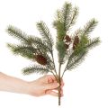 Dirbtinė eglės šakelė su kankorėžio dekoracija, 41 cm | Floristik24.lt