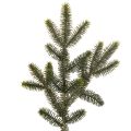 Floristik24 Dirbtinė eglės šaka stalo dekoravimui ir kompozicijoms, 45 cm, 3 vnt.