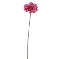 Floristik24 Dirbtinės gėlės Gerbera Pink 45cm