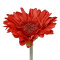 Floristik24 Dirbtinės gėlės Gerbera Red 45cm