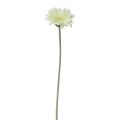 Floristik24 Dirbtinės gėlės Gerbera Balta 45cm